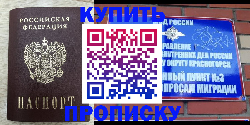 прописка гарантия в Касимове